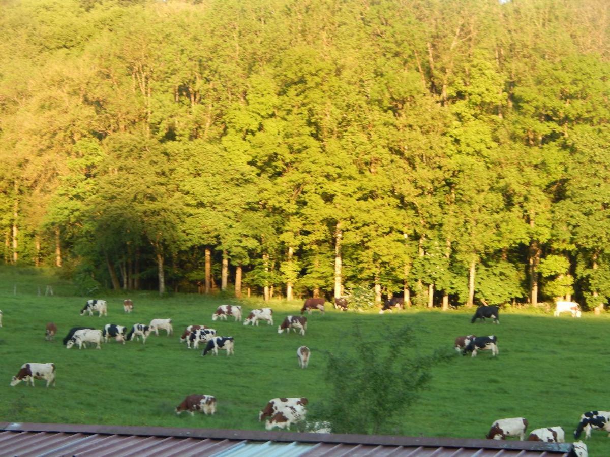 Bed and Breakfast A La Source Du Saolon Culmont Екстер'єр фото